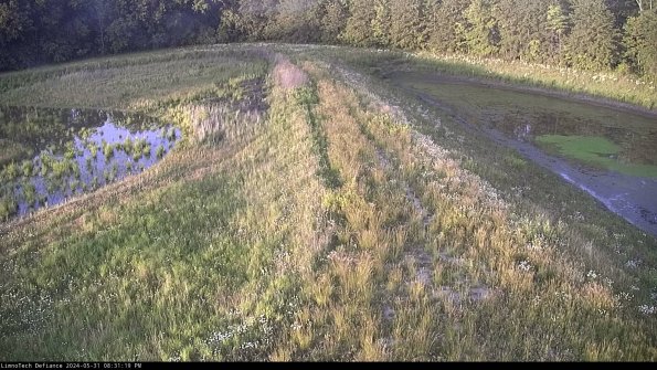 Cell 4 to Basin_24-05-31_20-31-20-33