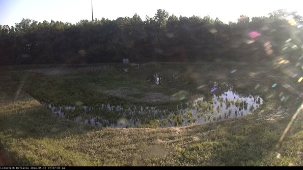 Cell 4_24-05-31_07-07-04-33