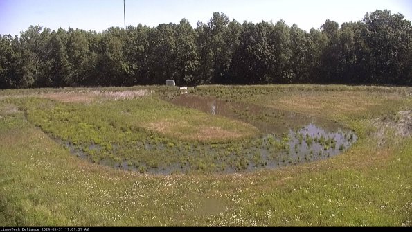 Cell 4_24-05-31_11-01-32-34