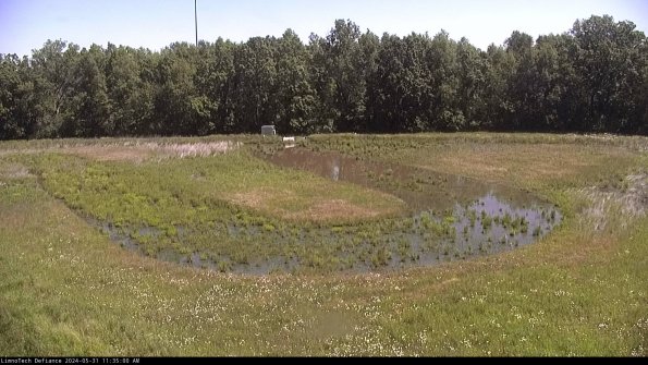 Cell 4_24-05-31_11-35-01-33