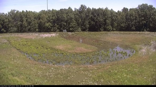 Cell 4_24-05-31_12-42-00-33