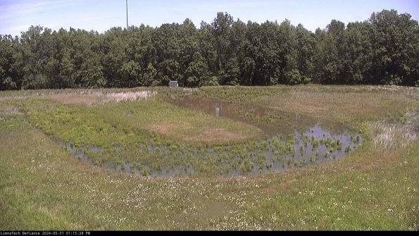 Cell 4_24-05-31_13-15-29-35