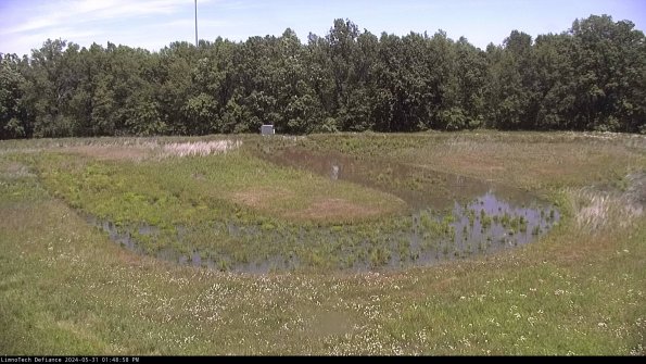 Cell 4_24-05-31_13-48-59-34