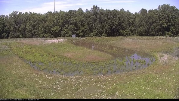 Cell 4_24-05-31_14-55-57-31