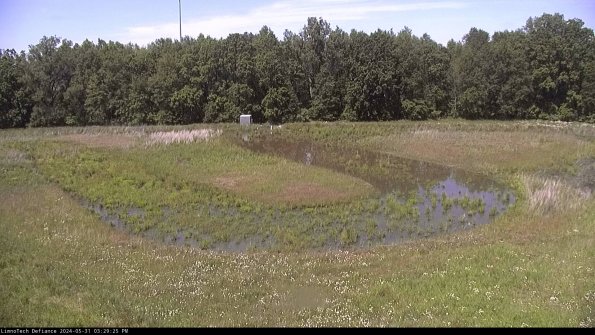 Cell 4_24-05-31_15-29-26-33