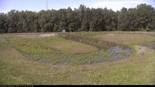 Cell 4_24-05-31_16-36-25-33