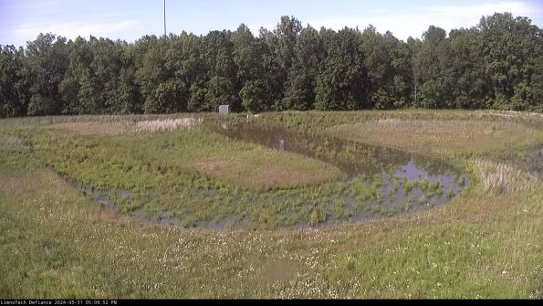 Cell 4_24-05-31_17-09-53-32