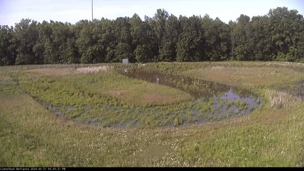 Cell 4_24-05-31_17-43-22-34