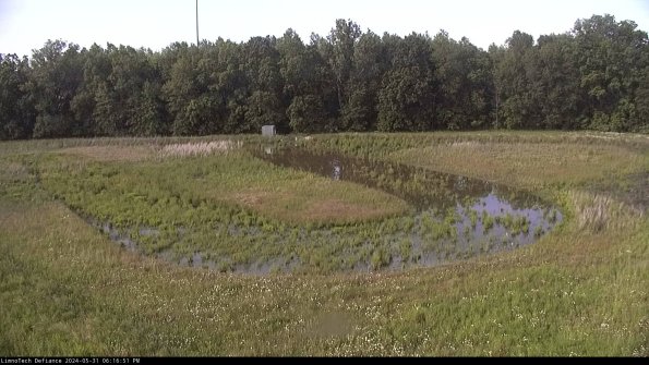 Cell 4_24-05-31_18-16-52-32