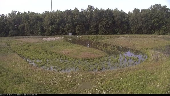 Cell 4_24-05-31_18-50-22-34