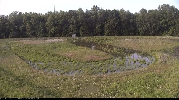 Cell 4_24-05-31_19-23-52-33