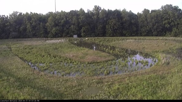 Cell 4_24-05-31_19-57-21-35