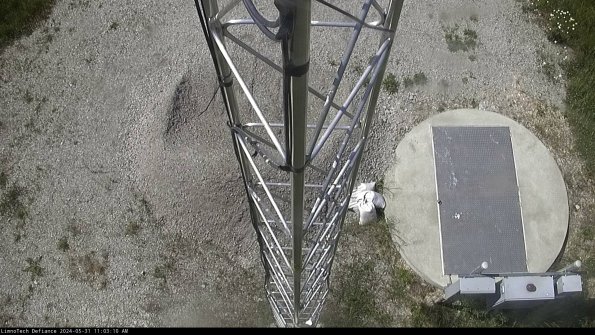 Hatch_24-05-31_11-03-11-34