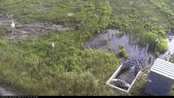 Weather & Flume_24-05-31_19-25-18-55