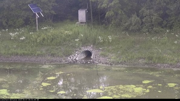 Basin Inflow_24-06-01_09-55-49-48