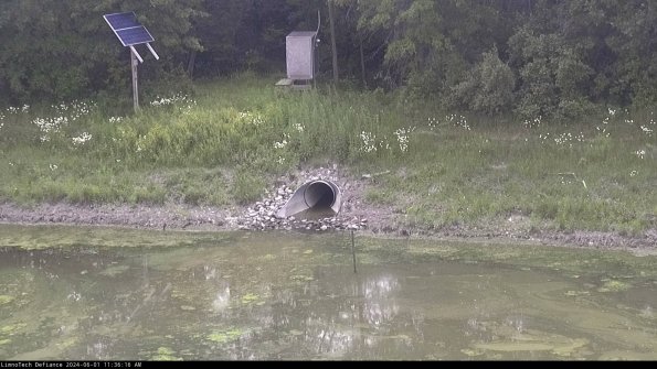 Basin Inflow_24-06-01_11-36-17-31