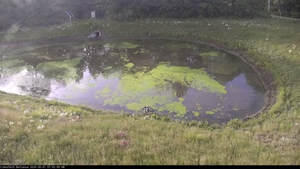 Basin Right_24-06-01_07-42-07-32