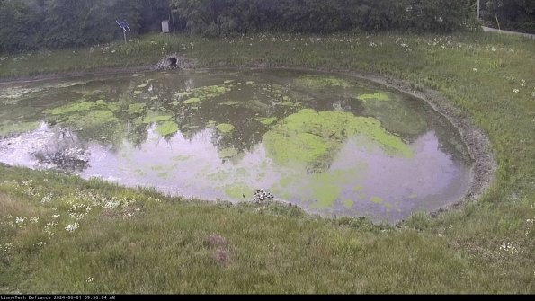 Basin Right_24-06-01_09-56-05-33