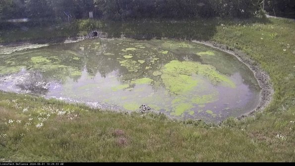 Basin Right_24-06-01_10-29-34-32