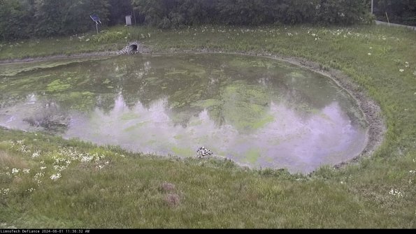 Basin Right_24-06-01_11-36-33-32