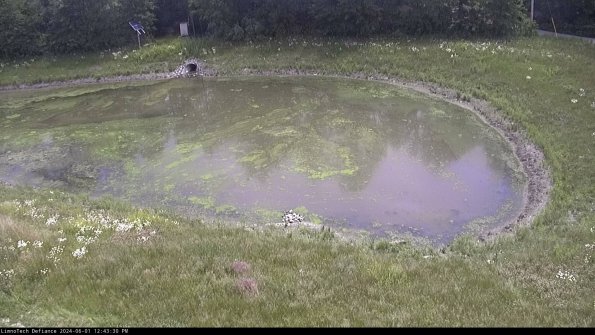 Basin Right_24-06-01_12-43-31-33