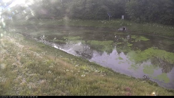 Basin_24-06-01_07-08-06-43