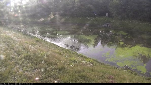 Basin_24-06-01_07-41-36-45