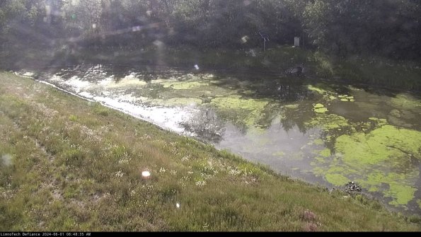 Basin_24-06-01_08-48-36-43