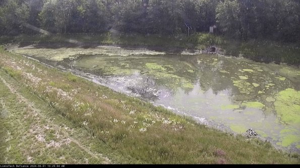 Basin_24-06-01_10-29-04-46