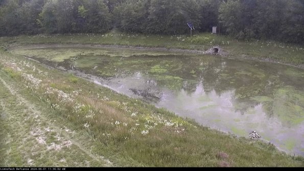 Basin_24-06-01_11-36-02-46