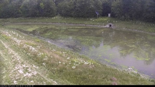 Basin_24-06-01_12-43-00-47