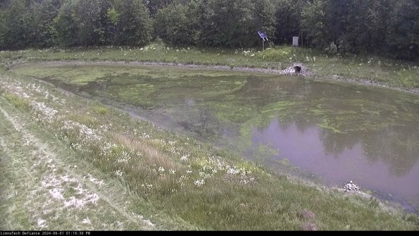 Basin_24-06-01_13-16-30-49