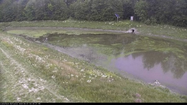 Basin_24-06-01_15-30-28-36