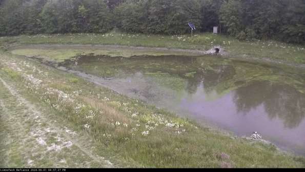 Basin_24-06-01_16-37-28-40