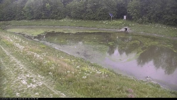 Basin_24-06-01_17-10-58-49