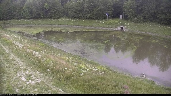 Basin_24-06-01_17-44-28-54