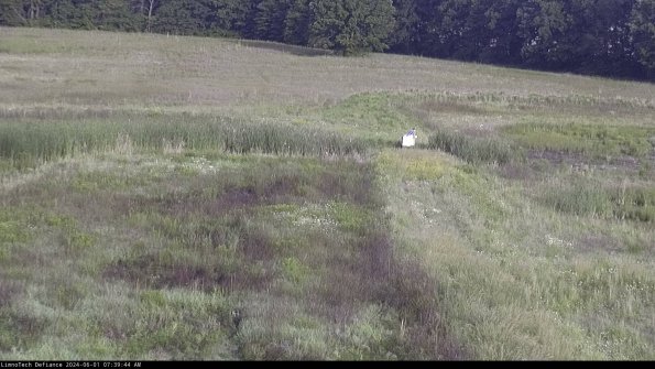 Cell 1 to 2_24-06-01_07-39-45-34