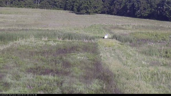 Cell 1 to 2_24-06-01_08-13-15-33