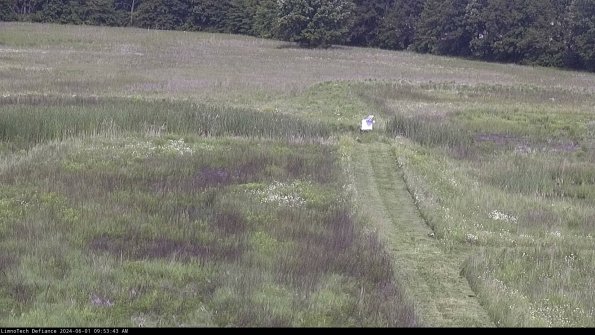 Cell 1 to 2_24-06-01_09-53-44-32