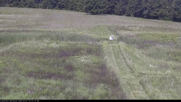 Cell 1 to 2_24-06-01_10-27-13-31