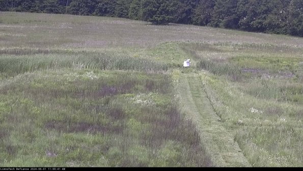 Cell 1 to 2_24-06-01_11-00-42-30