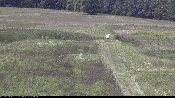 Cell 1 to 2_24-06-01_13-14-39-34