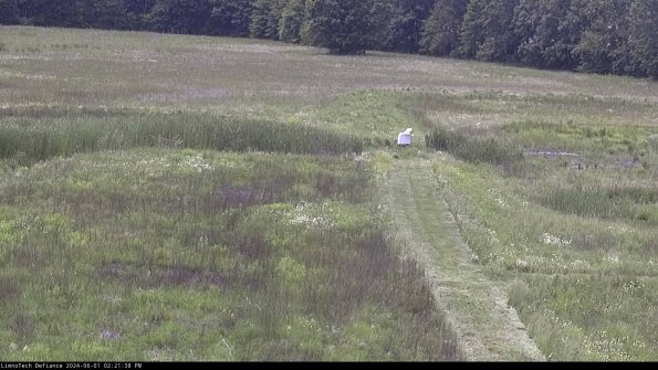 Cell 1 to 2_24-06-01_14-21-39-35