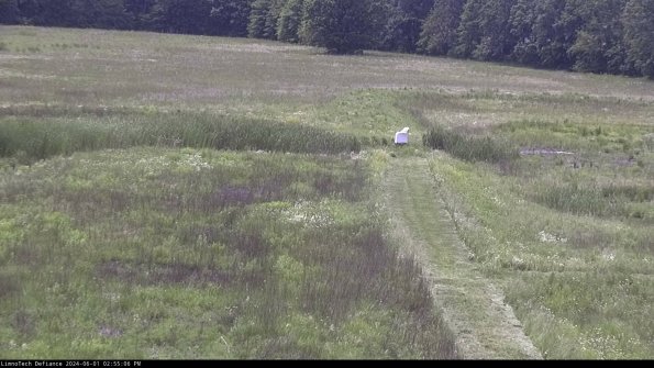 Cell 1 to 2_24-06-01_14-55-07-33