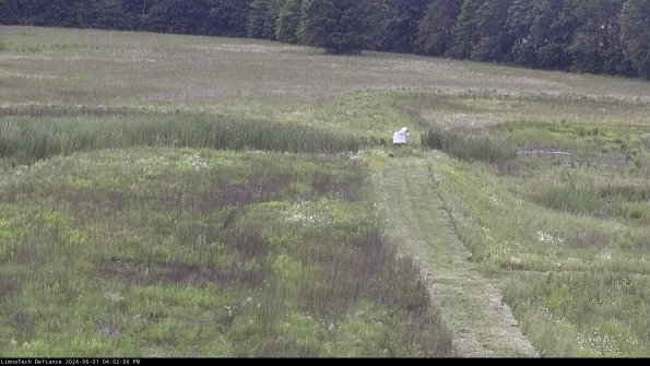 Cell 1 to 2_24-06-01_16-02-07-33