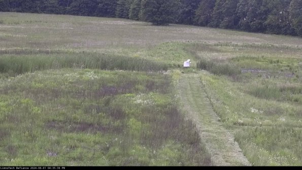 Cell 1 to 2_24-06-01_16-35-37-32