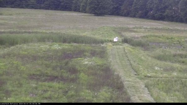 Cell 1 to 2_24-06-01_17-09-07-34