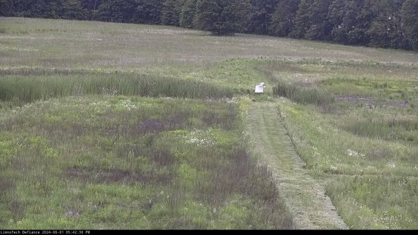 Cell 1 to 2_24-06-01_17-42-37-33