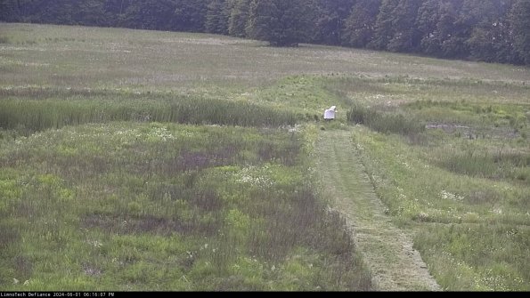 Cell 1 to 2_24-06-01_18-16-08-32