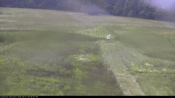 Cell 1 to 2_24-06-01_18-49-36-34